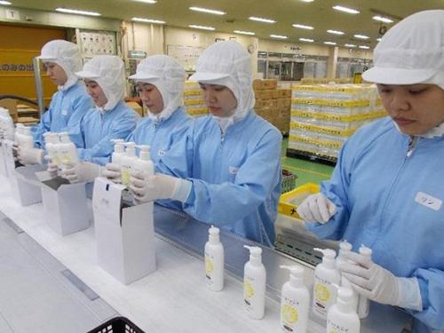 ベトナム人スタッフへの実習を行っている